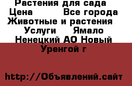 Растения для сада › Цена ­ 200 - Все города Животные и растения » Услуги   . Ямало-Ненецкий АО,Новый Уренгой г.